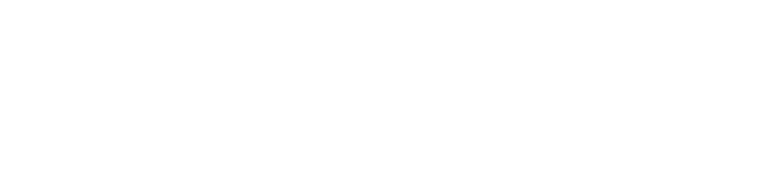 Financial Consultancy & Services